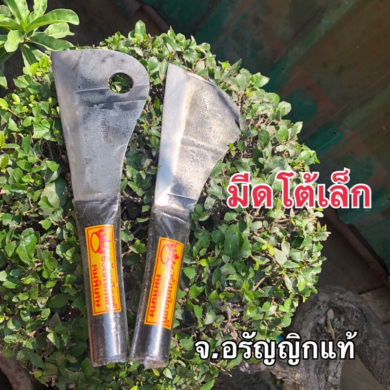 หัวโต้เล็กจิ๋ว มีดโต้ทุเรียน มีดโต้เฉาะฝรั่ง ด้ามไม้กลึง มีดอรัญญิก จ้อย อรัญญิกแท้ คละหัวมีรูไม่มีรู