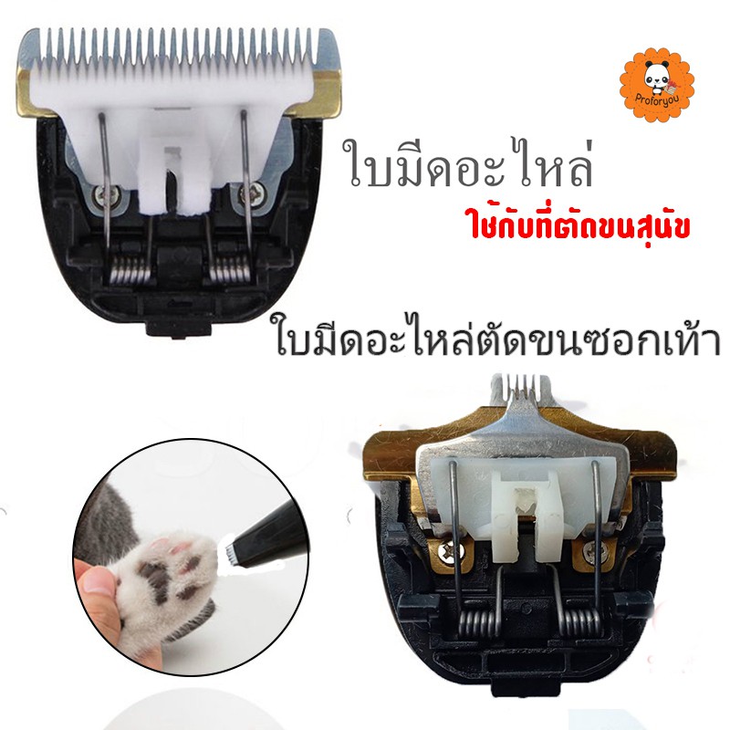 Proforyou อะไหล่ใบมีดตัดซอกเท้า สำหรับใช้เปลี่ยนปัตตาเลี่ยนตัดขนสุนัข ใช้กับ รุ่น KM-107, รุ่น RFCD-D11 ,รุ่น K-585