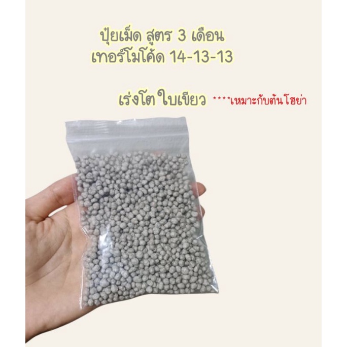 ปุ๋ยเม็ดเทอร์โมโค้ท 14-13-13สูตร3เดือน เร่งโต ใบเขียว100กรัม