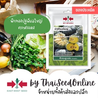 VP3 ซฟ เมล็ดพันธุ์ ฟักทองลูกผสม ปฐพีผลใหญ่ 10เมล็ด ตราศรแดง Pumpkin 5-7Kg.