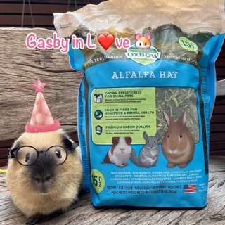 Oxbow Alfalfa Hay หญ้าแห้งอัลฟาฟ่า สำหรับสัตว์ฟันแทะ แกสบี้ ชินชิล่า กระต่าย 🐹🐰🐭 ขนาด 425 กรัม