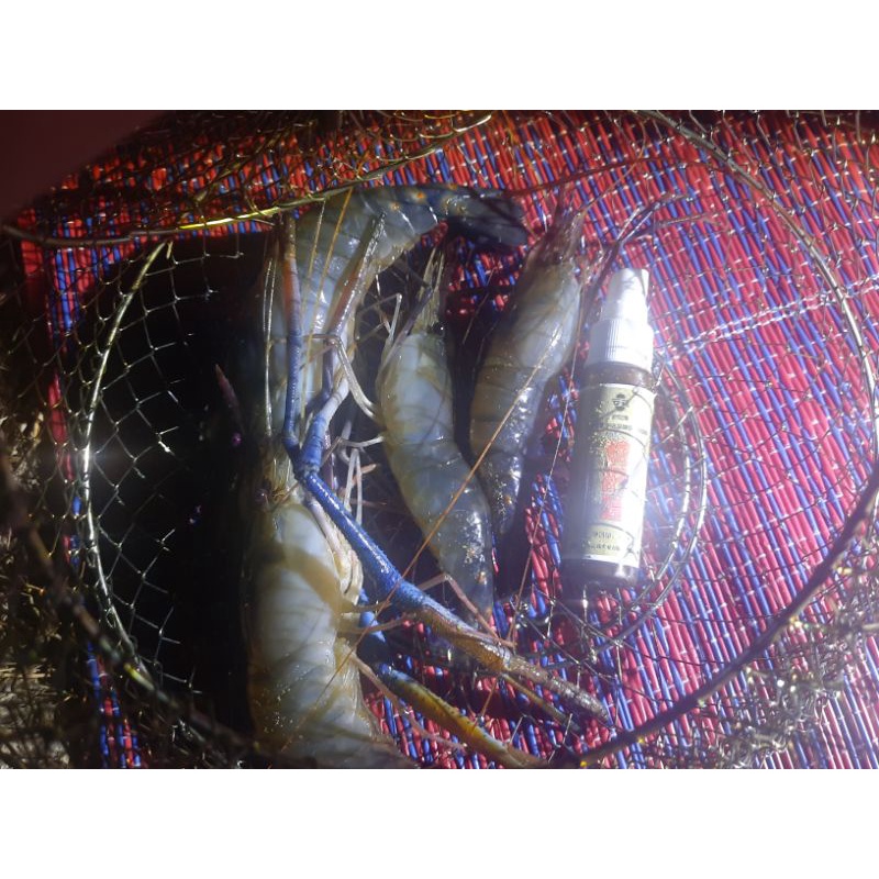 หัวเชื้อนิลโบ้ 2 สูตรตับหัวเชื้อเข้มข้น กลิ่นคาวๆ แรงๆ ใช้สำหรับเพิ่มกลิ่นคาวให้เหยื่อหลัก ขนาด 30 ML - รูปที่ 6