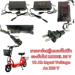 สายชาร์จสกู๊ตเตอร์ไฟฟ้า 10 นิ้ว รุ่นมอเตอร์แรงเหวี่ยง 36V 12Ah