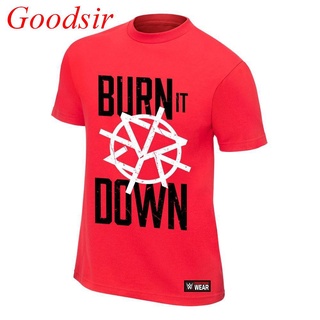 Lint9 {พร้อมส่ง เสื้อยืดแขนสั้นลําลอง ผ้าฝ้าย 100% พิมพ์ลาย Gd Seth Rollins Burn It Down พลัสไซซ์ ของขวัญวันเกิด สําหรับ