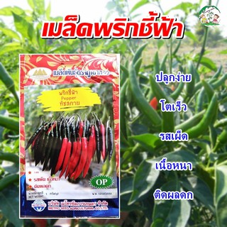 เมล็ดพริกชี้ฟ้า ทัชสกาย Pepper เมล็ดพันธุ์พริกชี้ฟ้า พริกชี้ฟ้า เมล็ดผักสวนครัว ตราภูเขาทอง