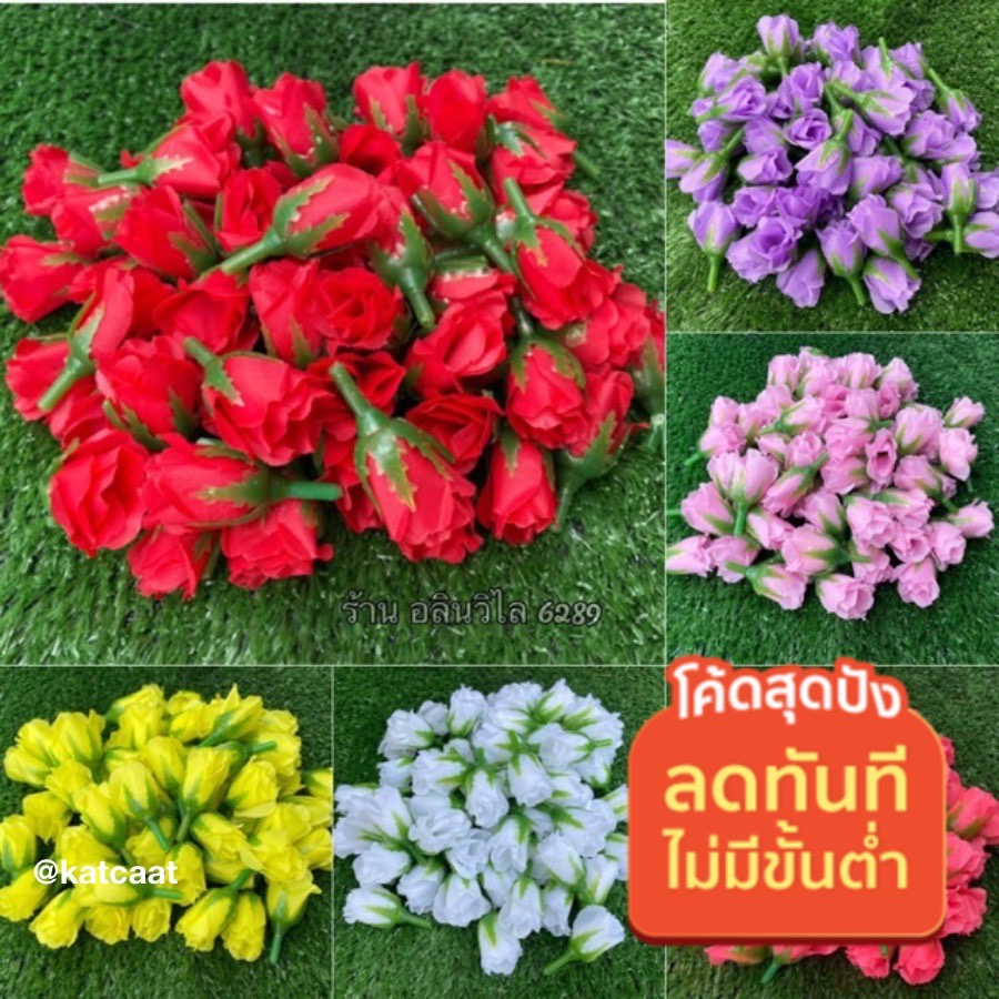 ดอกกุหลาบจิ๋ว ราคาถูกที่สุด