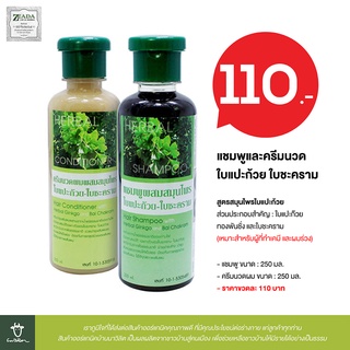 โปรโมชั่น ซื้อแชมพู 1 แถมฟรี ครีมนวด 1  แชมพูและครีมนวดผมใบแปะก้วย ใบชะคราม ZEADA (EXP. 24/08/22)