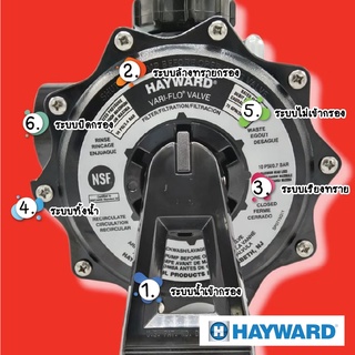 มัลติพอร์ทวาล์ว 1.5”/2 HAYWARD