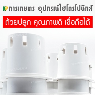 ถ้วยปลูกผักไฮโดรโปนิกส์ | KPการเกษตร