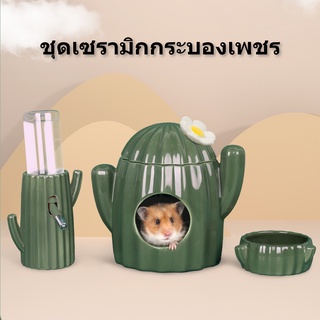 Bukkaxing ชามเซรามิค ลายกระบองเพชร หมีสีทอง สําหรับใส่อาหารหนูแฮมสเตอร์