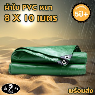 ผ้าใบ PVC หนา ทนทาน 5ปี+ ตราม้า8ตัว 8x10 ไร้รอยต่อ‼ ผ้าใบกันฝน ผ้าใบกันแดด ผ้าใบกันน้ำ ผ้าใบปูบ่อปลา เลี้ยงปู กระชังบก