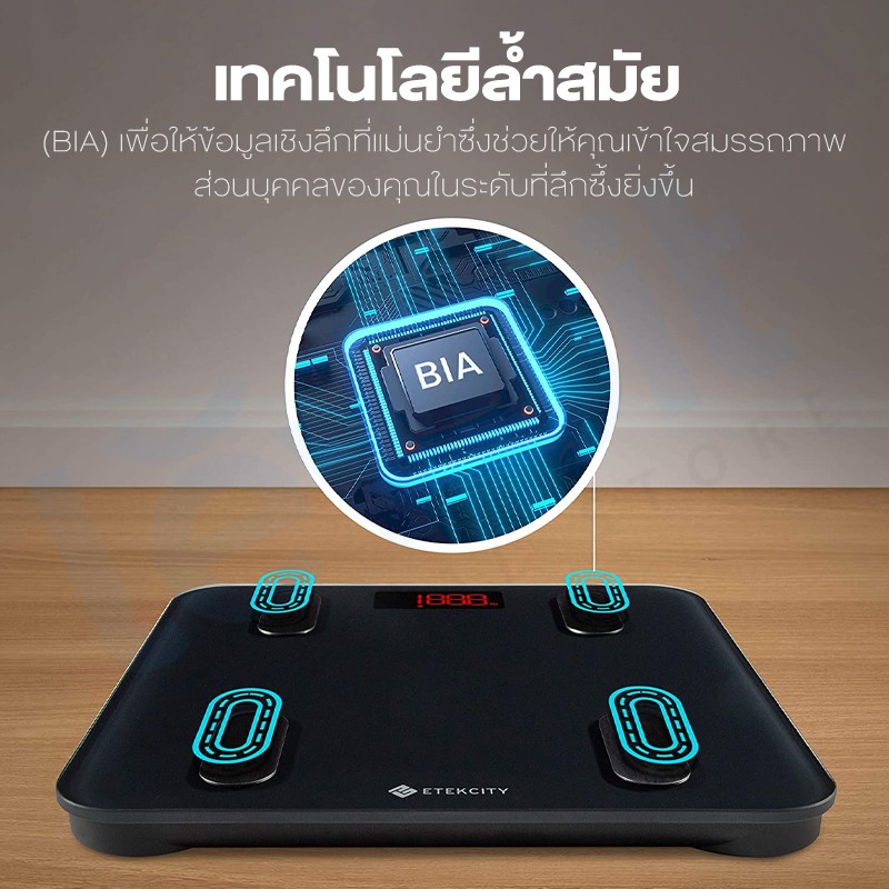 Etekcity ESF24 ESF14 Smart Fitness Scale เครื่องชั่งน้ำหนัก ที่ชั่ง ...