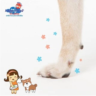 Sukina Petto Pet Wipes ทิชชู่เปียก ผ้าเปียกสำหรับสัตว์เลี้ยง ไซส์ 22x22cm ห่อใหญ่บรรจุ 20-70 แผ่น