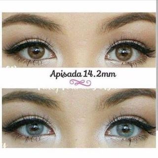 💟 Sweety Plus ICE , Apisada  ๑ brown gray สายตา -0.00 ถึง -6.00 Contactlens บิ๊กอาย คอนแทคเลนส์ ราคาถูก แถมตลับฟรี