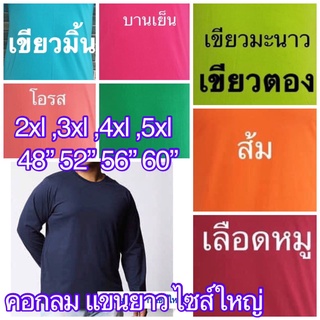 เสื้อสีพื้น(คอกลม,แขนยาว) เสื้อคนอ้วน เสื้อไซส์ใหญ่ plus size long sleeves มีเก็บเงินปลายทาง