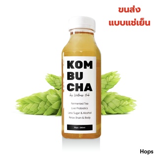 [ ฮอปส์ ] Premium Kombucha คอมบูชา คอมบูชะ คอมบูฉะ คอมบุชะ กอมบูชา ชา ชาหมัก น้ำชาหมัก คีโต Keto Hops Tea