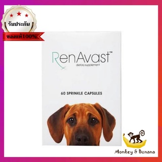 Renavast for Dog อาหารเสริมโปรตีน บำรุงไต หมดอายุ8/2024