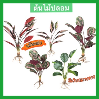 ต้นไม้ปลอม เหมือนจริง🪴 ตกแต่ง ปรับบรรยากาศภายในบ้าน  🌿คล้าใบตอง/คล้านกยูงแดง/นางพญาคล้า/มีเก็บปลายทาง