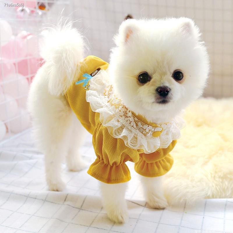 ☃Lace Satsuma Leash Handmade Collar Walk Dog Bow Tie Super Fairy