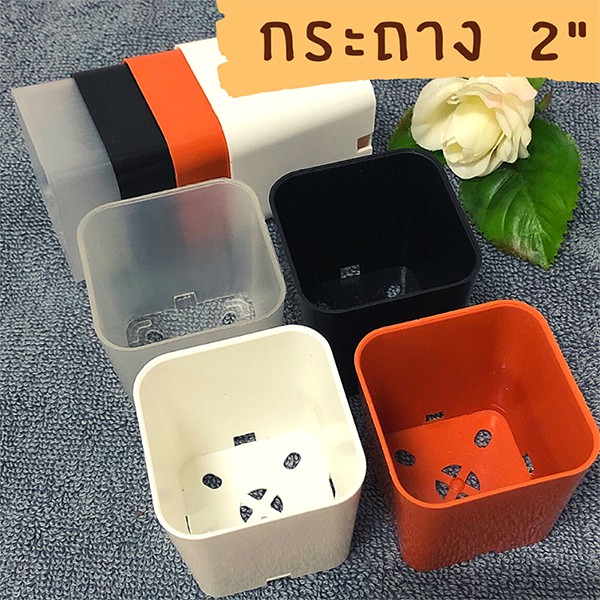 •สั่งขั้นต่ำ 5ใบคละสีได้• กระถางพลาสติก 2" กระถางแคคตัส มี 4สี พร้อมส่ง