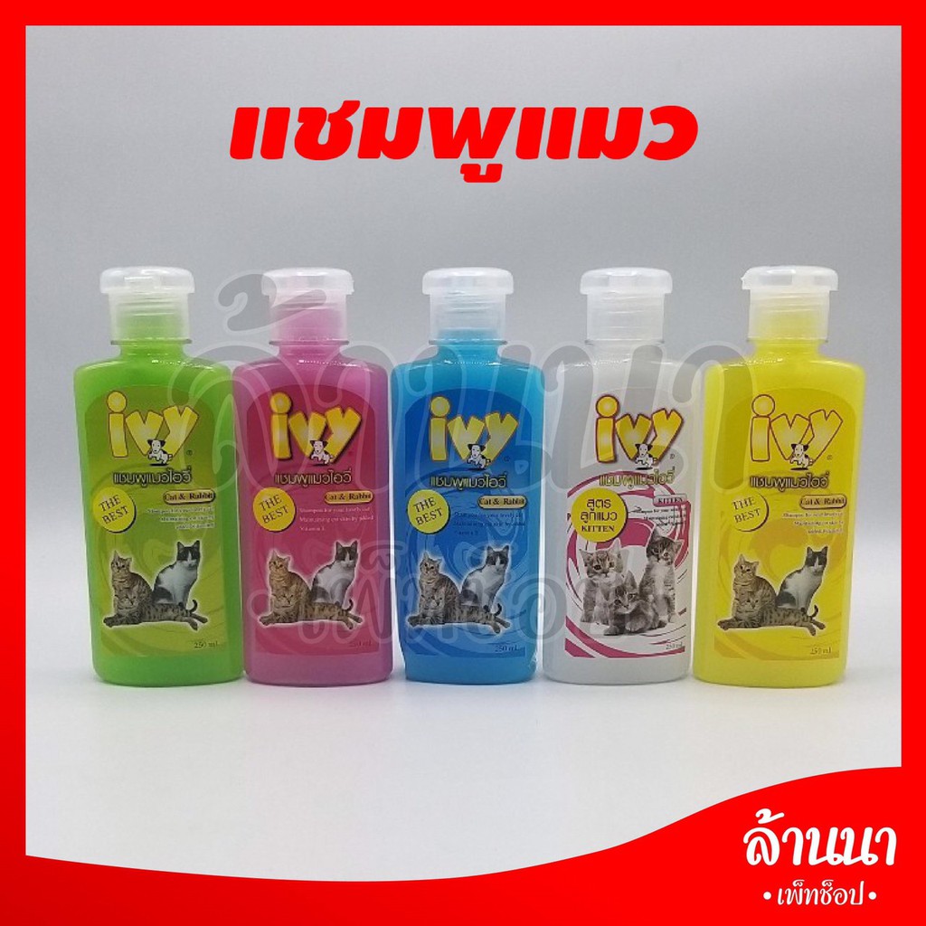 แชมพูไอวี่สำหรับแมว​และกระต่าย