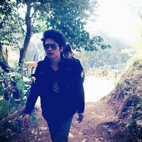 Profile bigsuchart