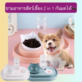 PP-382 ชามอาหารสัตว์เลี้ยง 2 in 1 กันมดได้ ชามน้ำอัตโนมัติ ชามอาหารสัตว์เลี้ยง ชามอาหารแมว สุนัช ราคาถูก พร้อมส่ง🐶🐱