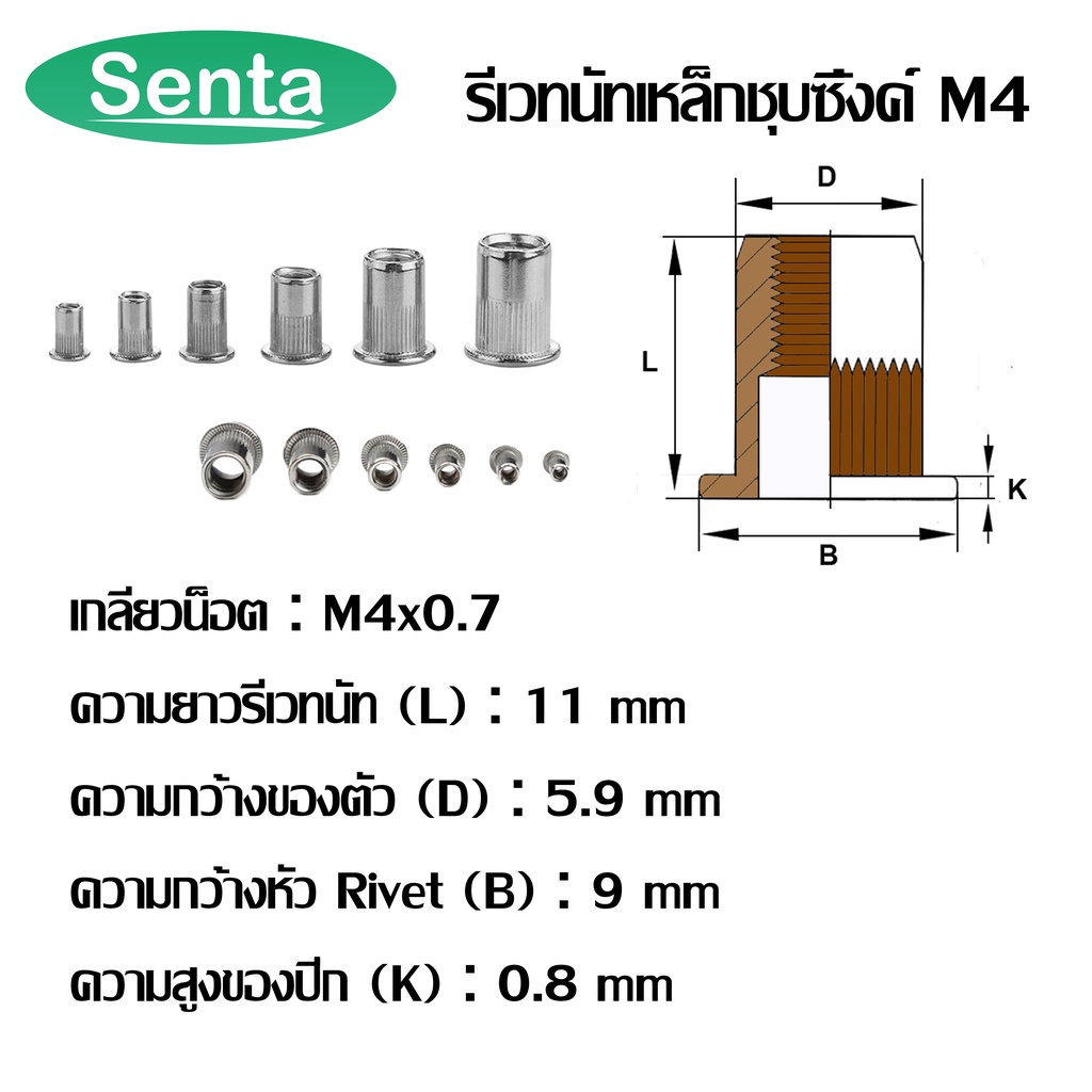 รีเวทนัท รีเวทนัทเหล็กชุบซิ้งค์ M3 M4 M5 M6 M8 M10 M12 สำหรับสกรู (STEEL RIVET NUT ZINC PLATED) ลูกรีเวท รีเวท ราคา ถูกที่สุด ดีลบีเคเค แกลเลอรีภาพที่ 4