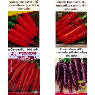 เมล็ดพันธุ์ แครอท Carrot  มีให้เลือก 4 แบบค่ะ  สีแดง สีม่วง เบบี้แครอท