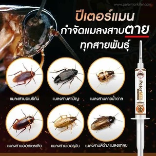 ส่งทันที📌 เจลแมลงสาบ ปีเตอร์แมน peter man กับดักแมลงสาบ ยาฆ่าแมลงสาบ กำจัดแมลงสาบ แมลงสาบ แมลงสาป