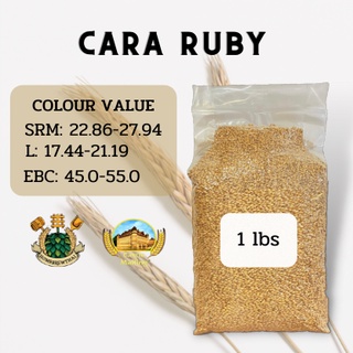 Cara Ruby malt 50 EBC คาร่า รูบี้ (Castle Malting) (1 lbs)