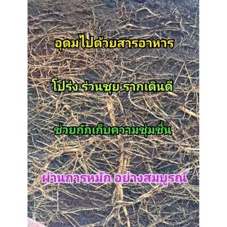 ดินผสมพร้อมปลูก ดินภูเขาไฟศรีสะเกษ สูตรพรีเมียม ขนาด 1kg | NT FARM