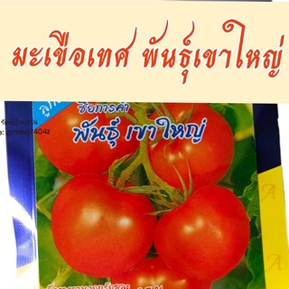 เมล็ดพันธุ์มะเขือเทศ พันธุ์เขาใหญ่ 20 เมล็ด tomato seeds พันธุ์มะเขือเทศ เมล็ดมะเขือเทศ มะเขือเทศลูกท้อ