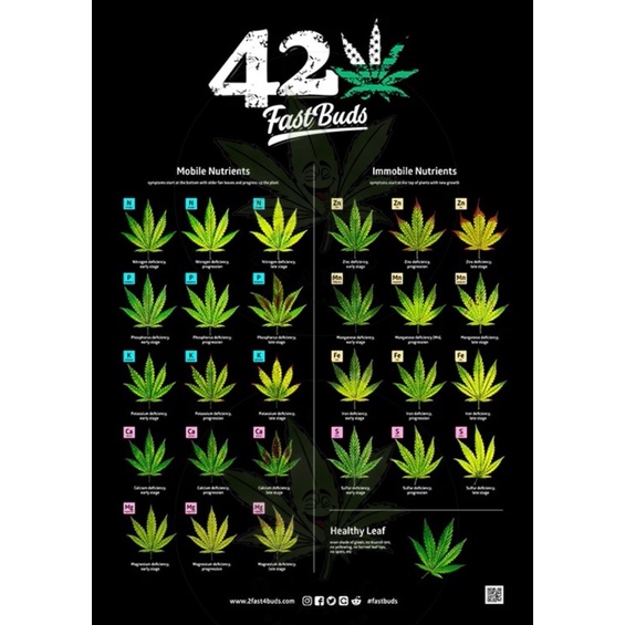 Poster โปสเตอร์FastBuds420 แปะผนังหรือเต๊นปลูก&สติ้กเกอร์420แพ็คเกจ&420sticker ป้ายปักเขียนระบุสายพั