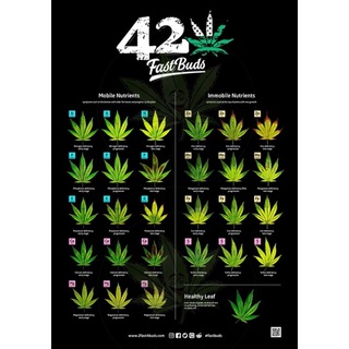 Poster โปสเตอร์FastBuds420 แปะผนังหรือเต๊นปลูก&amp;สติ้กเกอร์420แพ็คเกจ&amp;420sticker ป้ายปักเขียนระบุสายพันธุ์หรือวันที่