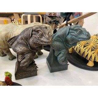 โมเดลเรซิ่น​ Rhinoceros iguana (Cyclura cornuta)เรซิ่นหนักประมาณ1.2กิโลกรัม​ พร้อมส่งอยู่ไทย