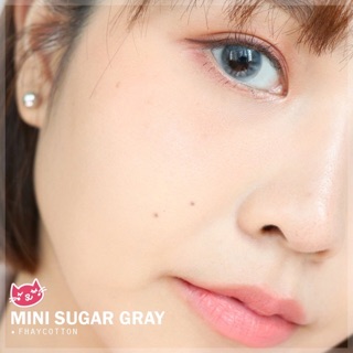 💖 mini Sugar Gray มินิ สีเทา ใส่แล้วน่ารัก สุภาพ Kitty Kawaii Contact Lens Bigeyes คอนแทคเลนส์ ค่าสายตา สายตาสั้น -10.00