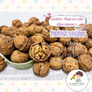 พร้อมส่ง ‼️ 500g 1 kg. วอลนัทป่า วอลนัทแบบดิบ (เกรดคนทาน สวย เนื้อแน่น) อาหารกระรอก นก หนู คุณภาพดี💯