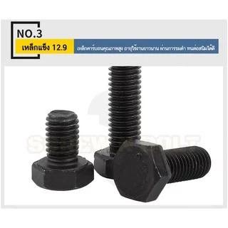 น็อต สกรู หัว หกเหลี่ยม โบลท์ เหล็กแข็ง 12.9 เกลียวมิล หยาบ M5 M6 / Hexagon Head Screw/Bolt Metric Thread Grade 12.9