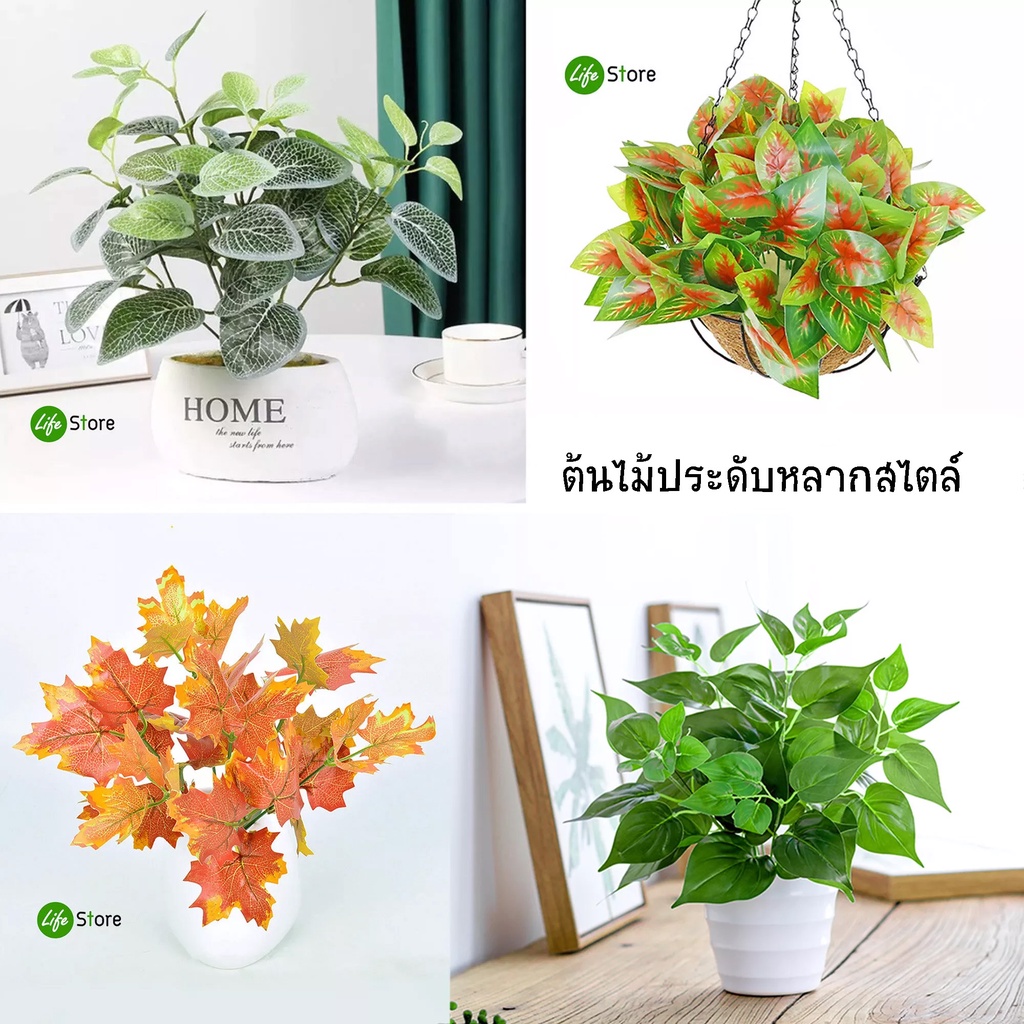 ต้นไม้ประดับหลากสไตล์หลายชนิดรุ่นJC-01 ต้นไม้ประดิษฐ์ สวยงามเสมือนจริง (พร้อมส่งในไทย ถึงเร็วทันใจ)
