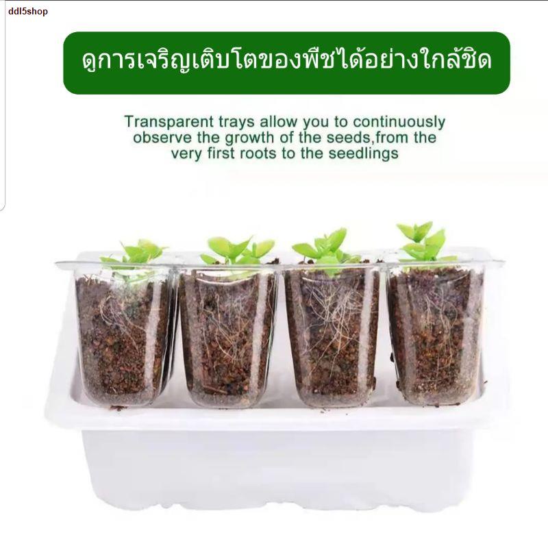 จัดส่งจากประเทศไทย++ซื้อ 2 กล่อง ฟรีเมล็ดยิมโน++กล่องเพาะเมล็ด กล่องเพาะเมล็ดจิ๋ว ชุดเพาะเมล็ด ถาดเพาะเมล็ด คุมความชื้น