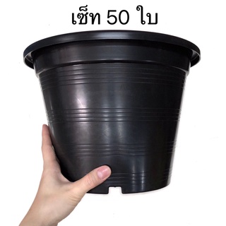 กระถางแคคตัส กระถางกระบองเพชร กระถางต้นไม้ ปากกว้าง 8 นิ้ว เซ็ท 50 ใบ