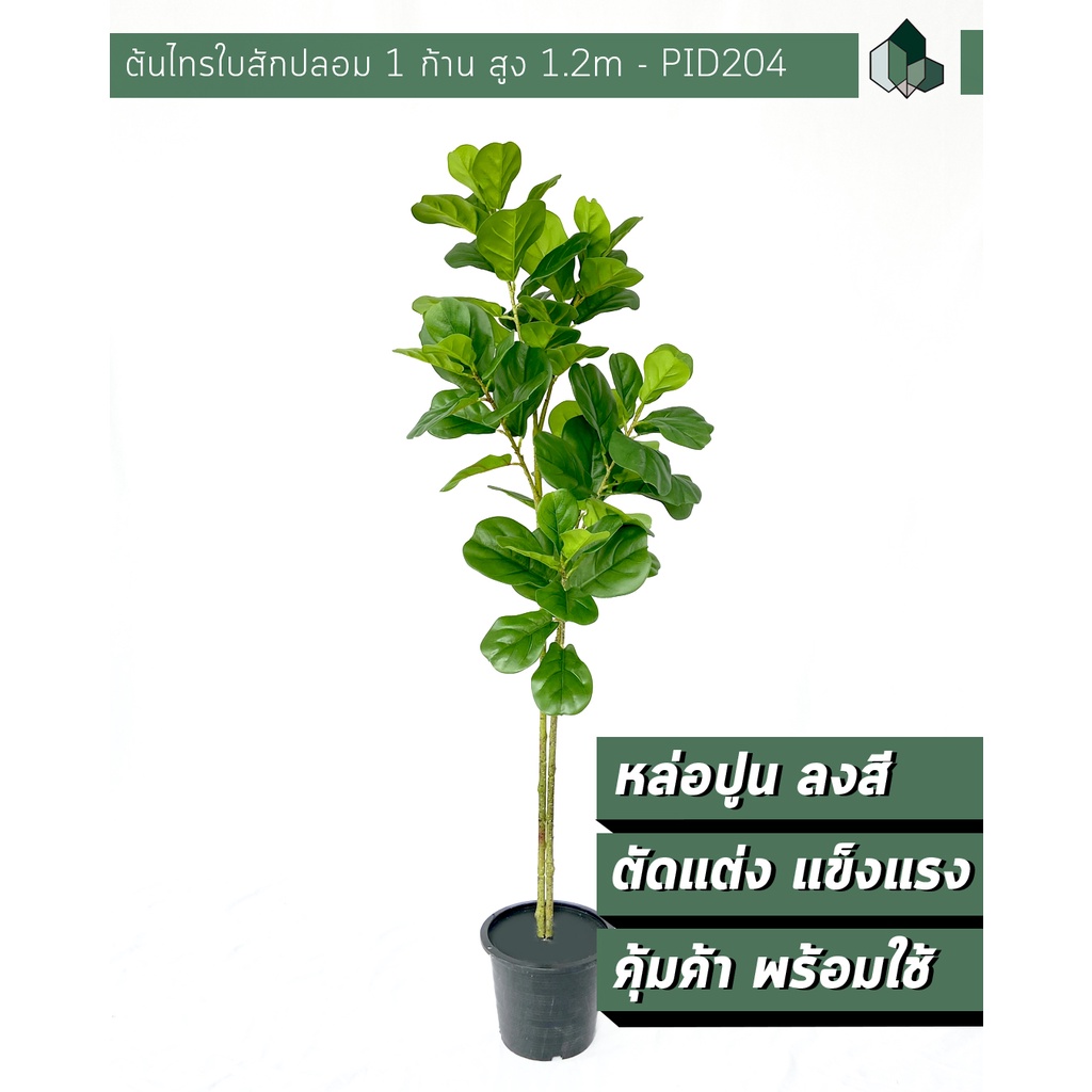 ต้นไม้ปลอมพร้อมกระถาง ต้นไทรใบสักปลอม 2 ก้าน สูง 1.2 เมตร พร้อมกระถางสีดำ 8 นิ้ว[ออกใบกำกับภาษีได้ ]
