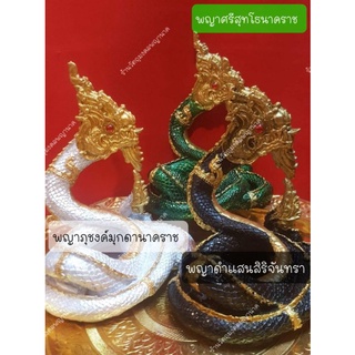 ปู่ดำแสนสิริ,พญาภุชงค์,ปู่ศรีสุทโธ กายขด(ผ่านพิธีปลุกเสกสำเร็จแล้ว)