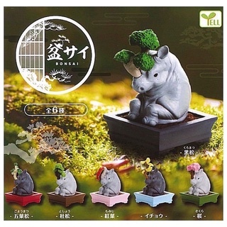 🅟🅕 กาชาปองแรดบอนไซ 🇯🇵 🦏🌳🌸🍁🌲🦏🇯🇵  Bonsai gashapon