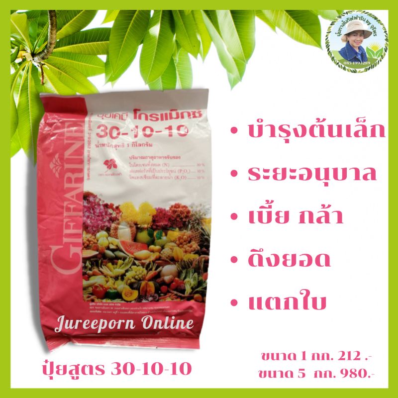 รวมกัน 94+ ภาพพื้นหลัง สูตร บำรุงทุเรียนเล็ก ให้แตกยอด ครั้งละ 1 เมตร สวยมาก