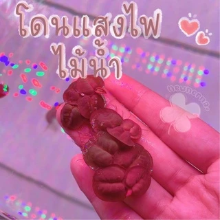 จอกแดงญี่ปุ่น ไม้น้ำปลอดสารพิษ100% ช่วยดูดไนเตรทในน้ำ