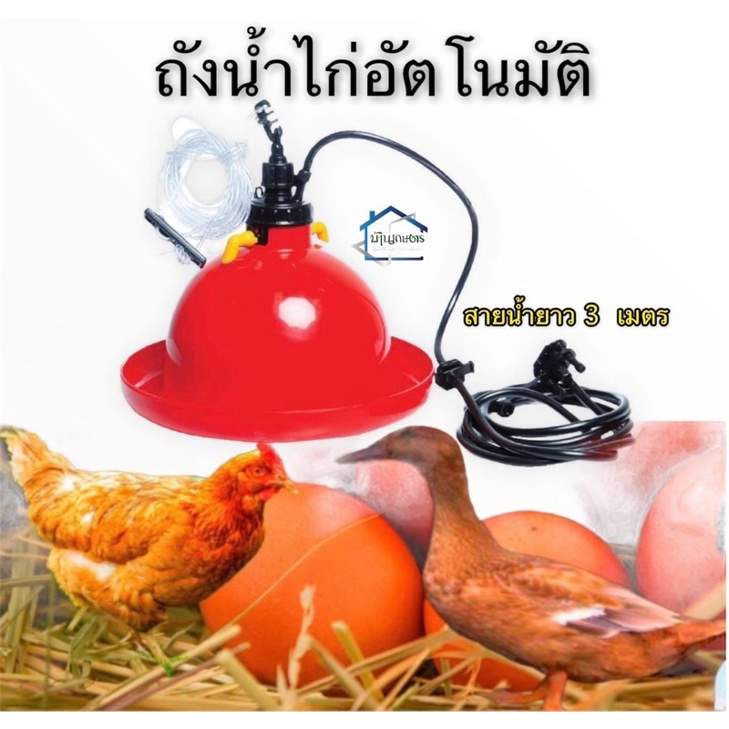 ถังน้ำไก่อัตโนมัติ สายน้ำยาว3เมตร
