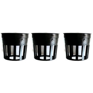 Papamami Pots Round Black Plastic กระถางพลาสติกกลมสีดำ 1 นิ้ว 3ใบ