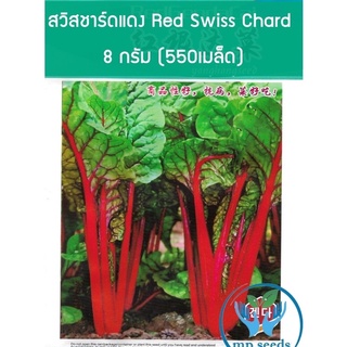 เมล็ด สวิสชาร์ด สีแดง Swiss Chard บรรจุ 550-600 เมล็ด